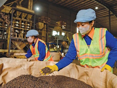 Giá nguyên vật liệu và logistics đồng loạt tăng khiến chi phí của Kl991.com World Cup 2026 Chính Thức đội lên rất nhiều (Ảnh: P.V) 
