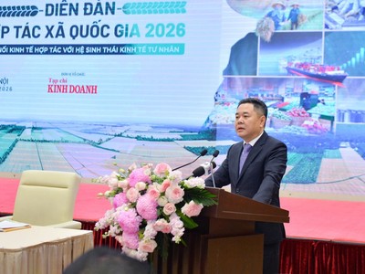 Phó Thống đốc Link Vào Nhà Cái KL99 COM Tặng +199k 99Kl99 trực tiếp đá gà (NHNN) Nguyễn Ngọc Cảnh 