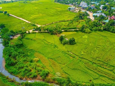 Chuyển gần 600 ha rừng tại Lương Sơn làm 3 dự án đô thị hơn 8.000 tỷ đồng 