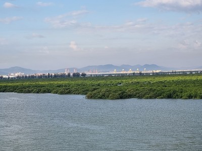 Quảng Ninh nghiên cứu, lựa chọn phương án tối ưu Kl99ok phiên bản mới xây dựng cầu Cửa Lục 2 