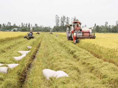 Ðồng Tháp hướng đến nền nông nghiệp sinh thái xanh bền vững 