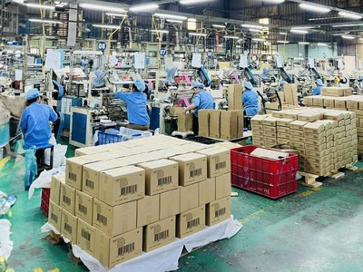Nhựa Sinh Thái Việt Nam (ECO): Áp lực chi phí trước niêm yết