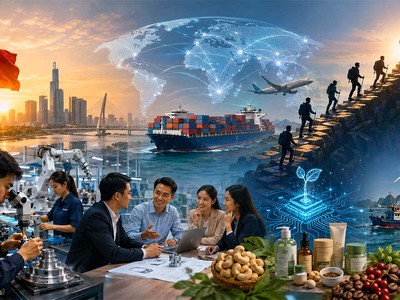 “Nhà vô địch ẩn mình” và bước chân của Kl991.com World Cup 2026 Chính Thức tư nhân Việt 