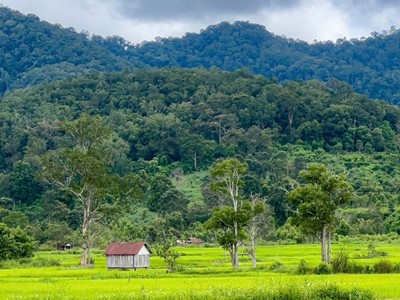 Xúc tiến Kl99ok phiên bản mới nhiều điểm du lịch mới, hấp dẫn tại tỉnh Gia Lai 