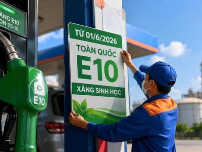 Thương nhân đầu mối và phân phối KL99 dịch vụ hỗ trợ 24/7 phải đảm bảo nguồn cung xăng E10 trên toàn quốc. 