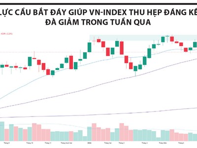 Lực cầu bắt đáy xuất hiện nhưng chưa lan tỏa