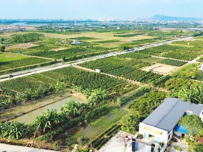 Hải Phòng tập trung cao độ, quyết liệt hoàn thành cơ sở dữ liệu đất đai Thành phố. Ảnh: Trung Kiên