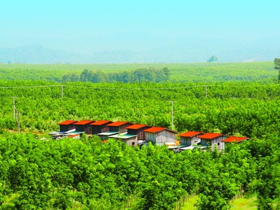 Hàng chục triệu KL99 là cổng game giải trí trực tuyến hàng đầu hiện nay giá sàn đã được hấp thụ hết, điều tích cực gì đang xảy ra ở HNG?