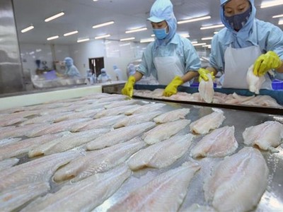 Quý I/2019, ANV đạt 200 tỷ đồng Kl99 nổ hũ, tăng 163,5% so với cùng kỳ 