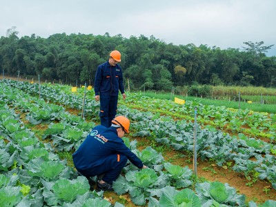 APG Eco và chiến lược sản phẩm hướng tới người tiêu dùng thông thái!