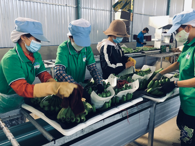 Lộ diện nhân sự do nhóm Trang Chủ KL99Com Số 1 Link Đăng Ký KL999 nắm 34,5% vốn Hoàng Anh Gia Lai (HAG) đề cử vào HĐQT