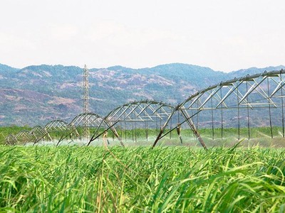 Ảnh Internet