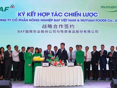 BAF ký kết hợp tác chiến lược với Kl994 game bài casino hấp dẫn Chăn nuôi – Thực phẩm hàng đầu thế giới Muyuan 