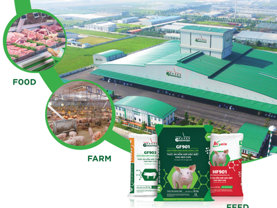 Thêm một năm Kl992 VIP Trang Chủ 2026 tăng trưởng, Greenfeed Việt Nam hướng đến phát triển bền vững 