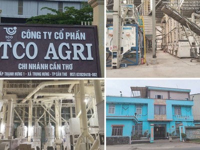 TCO Holding (TCO) muốn rót vốn Kl99ok phiên bản mới thêm dự án khu phức hợp ngàn tỷ tại Đà Nẵng