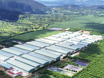 Hoàng Anh Gia Lai (HAG) đã tất toán toàn bộ khoản nợ Kl99kl Hoàn Trả Vô Tận