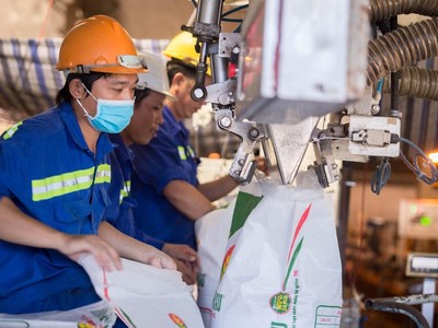 Phân bón Cà Mau xuất khẩu trong thời gian thấp vụ, dư cung