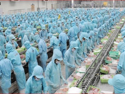 Quý I/2022, IDI báo lãi gấp 10 lần cùng kỳ