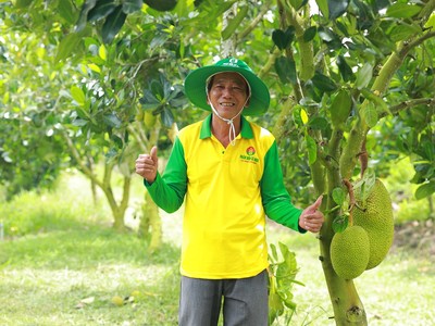 NPK Cà Mau công nghệ polyphosphate chắp cánh nông sản Việt