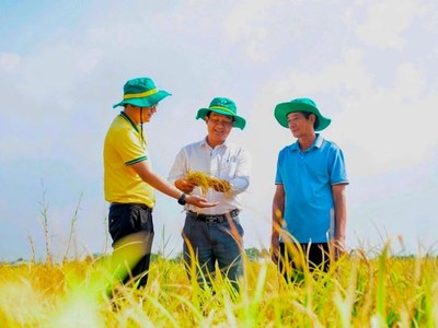 PVCFC góp phần nâng cao hiệu quả canh tác, giảm chi phí đầu vào giúp bà con tiếp cận các giải pháp nông nghiệp phù hợp hơn. 