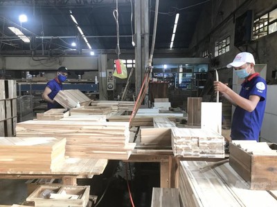 Gỗ Thuận An (GTA): Quý I lãi 4,4 tỷ đồng, chi trả 99Kl.app mobile mới nhất tỷ lệ 12%