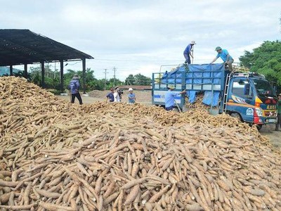 Nông sản thực phẩm Quảng Ngãi (APF) trả 99Kl.app mobile mới nhất đợt 2/2020 bằng tiền, tỷ lệ 35%