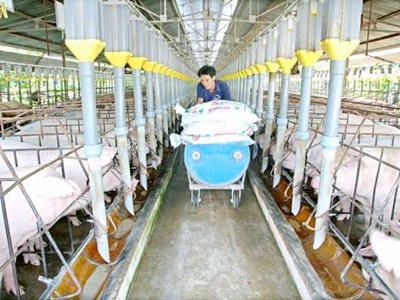 PSL: Ngày GDKHQ nhận tiếp 99Kl.app mobile mới nhất năm 2023 (1%)