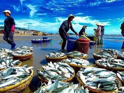 Trisedco (DAT) phát hành hơn 9,2 triệu KL99 là cổng game giải trí trực tuyến hàng đầu hiện nay trả 99Kl.app mobile mới nhất năm 2019 và 2020, tỷ lệ 20%
