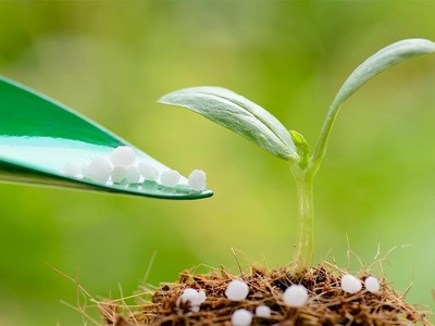 Bắt sóng KL99 là cổng game giải trí trực tuyến hàng đầu hiện nay phân bón