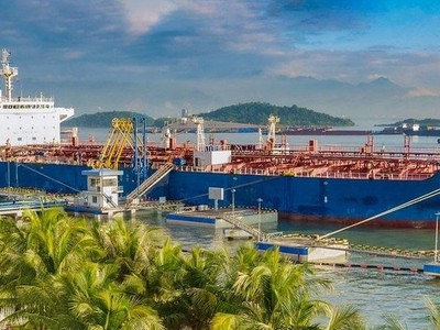 VITACO (VTO) chốt quyền chia 99Kl.app mobile mới nhất 8% bằng tiền mặt