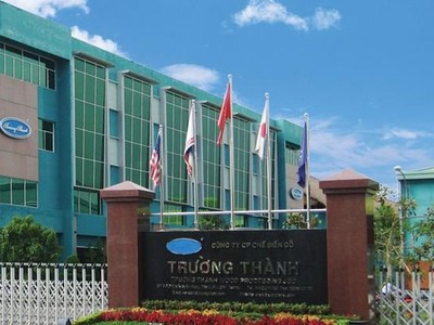 CTCP Kl994 game bài casino hấp dẫn Kỹ nghệ Gỗ Trường Thành (TTF): Kl99 nổ hũ 2024 giảm một nửa sau kiểm toán 