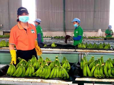 Hoàng Anh Gia Lai (HAG) đưa ra 2 biện pháp đảm bảo cho khoản vay 500 tỷ đồng của công ty con