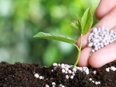 Năm 2023, ngành phân bón sẽ chịu áp lực từ mức nền cao