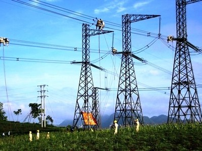 Tư vấn Xây dựng điện 2 (TV2) lãi giảm hơn 40% trong nửa đầu 2025 