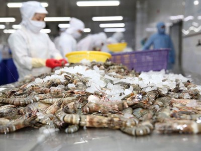 Xuất khẩu thuỷ sản tháng đầu năm bứt tốc 30,6%, nhưng tháng 2 dự báo chỉ tăng nhẹ