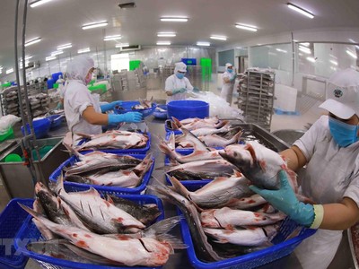 Xuất khẩu cá tra vào Trung Quốc tăng 26% trong tháng 2