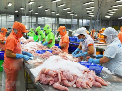 Vasep: Xuất khẩu cá tra có thể vượt mốc 2 tỷ USD trong năm nay