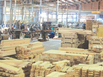 Gỗ và dược phẩm có khả năng sẽ bị Mỹ áp thuế trong thời gian tới