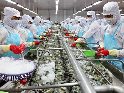 Minh Phú (MPC): Còn rất nhiều hợp đồng tồn đọng, nhưng đang thiếu nguyên liệu 