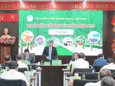 ĐHCĐ bất thường Kl994 game bài casino hấp dẫn Cao su Việt Nam (GVR): Chuẩn bị Kl99ok phiên bản mới 2.604 ha khu công nghiệp từ đất cao su chuyển đổi