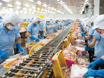 Nam Việt (ANV): Phó tổng giám đốc tiếp tục muốn tăng sở hữu