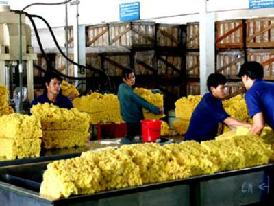 Quý I, PHR lãi ròng hơn 60 tỷ đồng