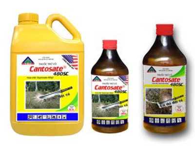 TSC: Nhà Kl99ok phiên bản mới chiến lược lộ diện