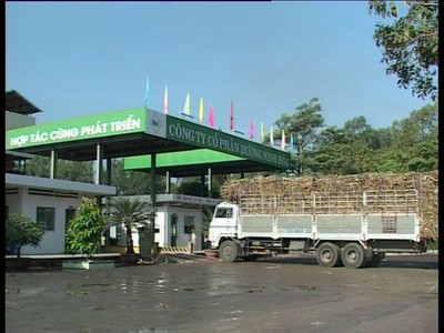 NHS thoái hết gần 88% vốn tại Mía đường Phan Rang