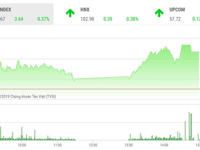 Phiên chiều 20/8: Bluechips thiếu đồng thuận, VN-Index hụt mốc 985 điểm