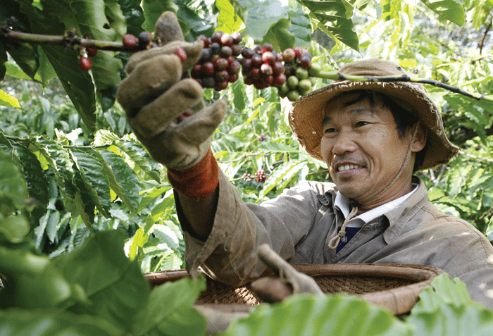 Kl99ok phiên bản mới vào lĩnh vực nông nghiệp của các DN vẫn chưa tương xứng với tiềm năng lớn của ngành