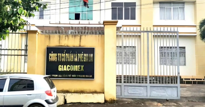 Nhiều vi phạm trong quá trình cổ phần hóa tại Công ty TNHH MTV cà phê Gia Lai