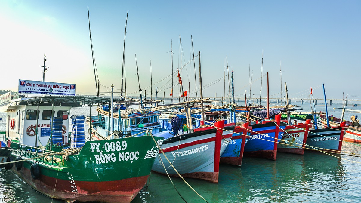 Giao lưu trực tuyến: “Phú Yên – Điểm đến hấp dẫn nhà Kl99ok phiên bản mới” ảnh 73