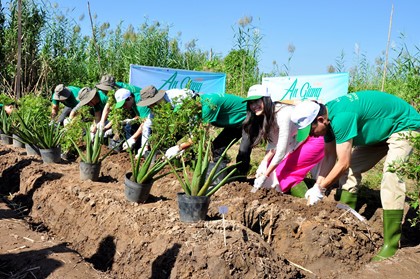 Alphanam Group ra mắt quỹ phát triển đô thị xanh tại An Giang ảnh 1