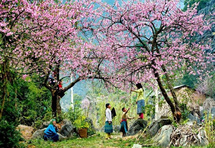 Khát vọng Việt Nam ảnh 2